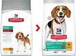 Kuivtoit koertele Hill's Science Plan Perfect Weight Medium Adult kanalihaga, 12 kg hind ja info | Kuivtoit koertele | kaup24.ee