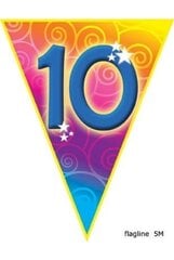 Гирлянда флагов на десятый день рождения цена и информация | Карнавальные костюмы | kaup24.ee