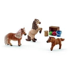 Shetlandi poni pere Schleich цена и информация | Игрушки для девочек | kaup24.ee