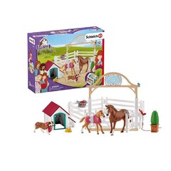 «Конный клуб» Schleich: Лошади Ханны с самкой Рубе цена и информация | MUST Металлическая бутылочка с Ярким рисунком (без BPA) (500ml) для мальчиков от 3+ лет Серая с Машинкой | kaup24.ee