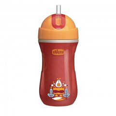 Pudel kõrrega Chicco Mix&Match, 14 m+, 266 ml цена и информация | Бутылочки и аксессуары | kaup24.ee