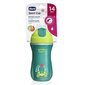 Pudel kõrrega Chicco Mix&Match, 14 m+, 266 ml hind ja info | Lutipudelid ja aksessuaarid | kaup24.ee