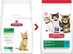 Kuivtoit kassipoegadele Hill's Science Plan Kitten tuunikalaga, 1.5 kg hind ja info | Kuivtoit kassidele | kaup24.ee