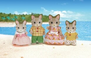 Sylvanian Families семейство полосатых котят цена и информация | MUST Металлическая бутылочка с Ярким рисунком (без BPA) (500ml) для мальчиков от 3+ лет Серая с Машинкой | kaup24.ee