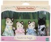 Kassipoegade perekond Sylvanian Families hind ja info | Tüdrukute mänguasjad | kaup24.ee