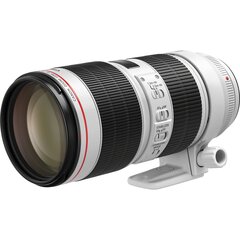 Canon EF 70-200mm f/2.8L IS III USM hind ja info | Objektiivid | kaup24.ee