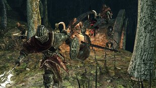 Dark Souls 2: Scholar of the First Sin hind ja info | Arvutimängud, konsoolimängud | kaup24.ee