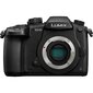 Panasonic Lumix DC-GH5 Body hind ja info | Fotoaparaadid | kaup24.ee