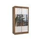 Riidekapp Adrk Furniture Tamos 120 cm, pruun/valge hind ja info | Kapid | kaup24.ee