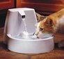 Petsafe Drinkwell 1,5 L jootja цена и информация | Toidukausid loomadele | kaup24.ee