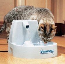 Petsafe Drinkwell 1,5 L jootja цена и информация | Миски, ящики для корма | kaup24.ee