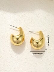 2 tk Euroopa ja Ameerika lihtsad minimalistlikus stiilis CCB geomeetrilised piiskkõrvarõngad, mis sobivad naistele igapäevaseks kandmiseks цена и информация | Наборы украшений | kaup24.ee
