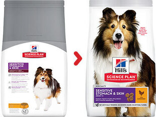 Kuivtoit koertele Hill's Sience Plan Sensitive Stomach & Skin Medium Adult kanalihaga, 14 kg hind ja info | Kuivtoit koertele | kaup24.ee