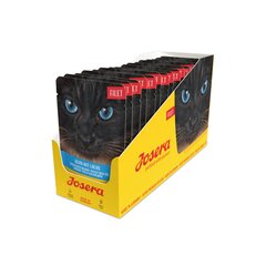 Josera kana- ja lõhefilee kassidele 16x70 g hind ja info | Josera Lemmikloomatarbed | kaup24.ee