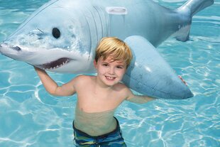 Täispuhutav parv Bestway Realistic Shark, sinine hind ja info | Täispuhutavad veemänguasjad ja ujumistarbed | kaup24.ee