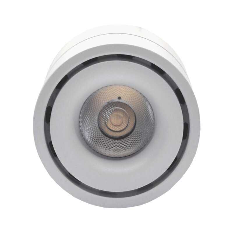 Punktvalgusti Olso 10 W, valge цена и информация | Süvistatavad ja LED valgustid | kaup24.ee