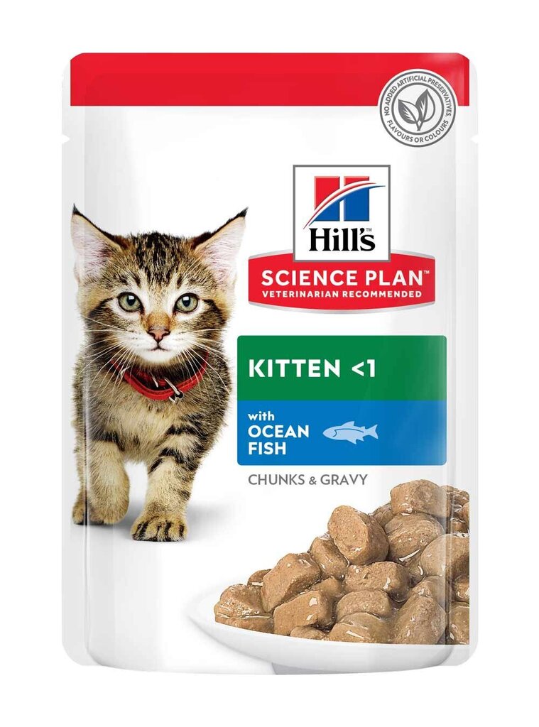 Hill's Science Plan Kitten toit kassipoegadele kalaga, 12x85g цена и информация | Konservid kassidele | kaup24.ee