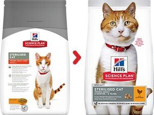 Kuivtoit kassidele Hill's Science Plan Young Adult Sterilised Cat kanalihaga, 0.3 kg hind ja info | Kuivtoit kassidele | kaup24.ee