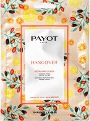 Detoxiga Mask Payot Morning Mask Hangover 1 tk. цена и информация | Маски для лица, патчи для глаз | kaup24.ee