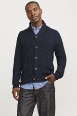 Вязаная кофта Jack &amp; Jones 12258484SKYCAPTAIN-S цена и информация | Мужские свитера | kaup24.ee