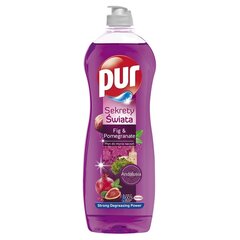 Nõudepesuvahend PUR POWER Fig&Pomegranate 750ml цена и информация | Средства для мытья посуды | kaup24.ee