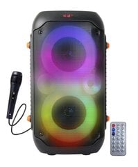 Esperanza kaasaskantav kõlar EP156 BT FM LED RGB KARAOKE Speaker must 20W цена и информация | Аудиоколонки | kaup24.ee