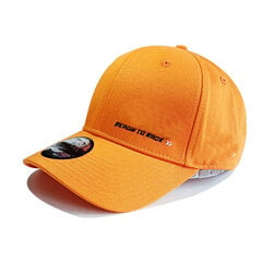 (-beež) Pesapallimütsid Auto 3D tikandid Reguleeritav Unisex Mootorrataste võidusõidumüts F1 Snapback Punased Mütsid Hip Hop Trucket Meeste Müts цена и информация | Женские шапки | kaup24.ee