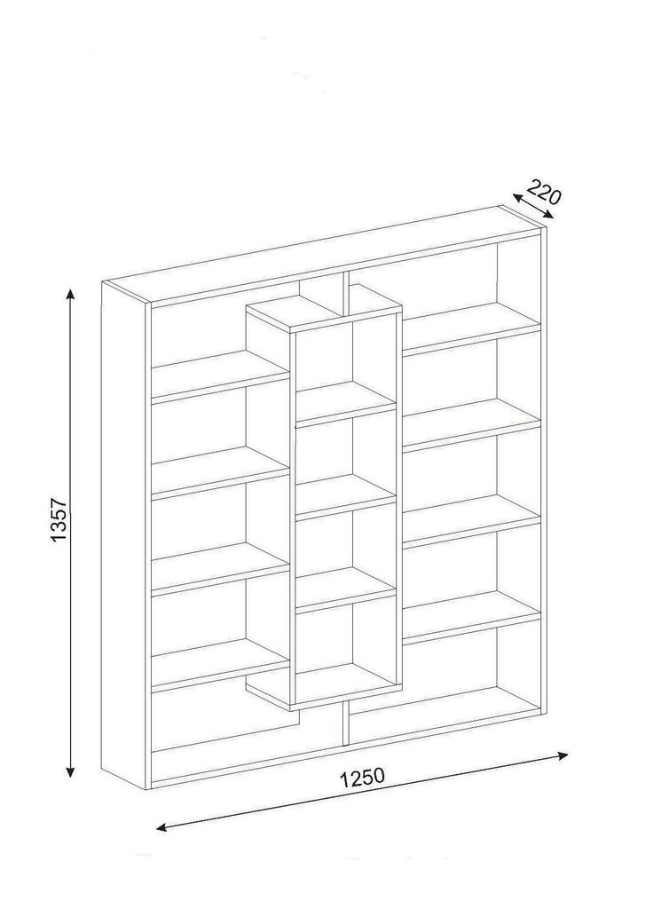 Eraldiseisev riiul Kalune Design Ample, pruun/valge hind ja info | Riiulid | kaup24.ee