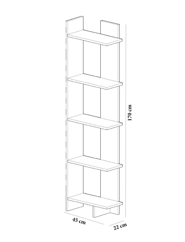 Eraldiseisev riiul Kalune Design Als, must/valge цена и информация | Riiulid | kaup24.ee