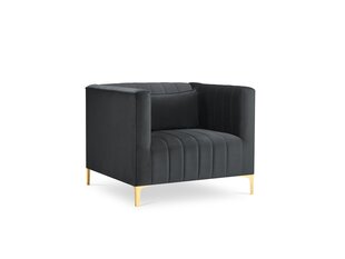 Кресло Micadoni Home Annite, серое/золотистое цена и информация | Кресла в гостиную | kaup24.ee