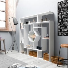 Eraldiseisev riiul Kalune Design Labrina, valge hind ja info | Riiulid | kaup24.ee