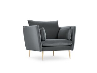 Кресло Micadoni Home Agate, серое/золотистое цена и информация | Кресла в гостиную | kaup24.ee