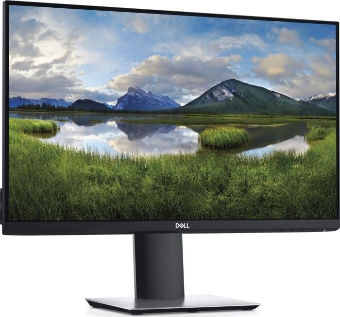 Dell P2421D цена и информация | Monitorid | kaup24.ee