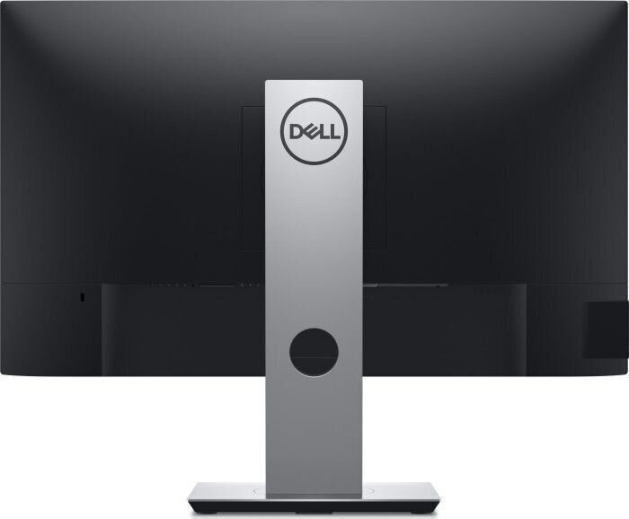 Dell P2421D цена и информация | Monitorid | kaup24.ee