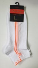Мужские короткие махровые спортивные носки цена и информация | Мужские носки | kaup24.ee