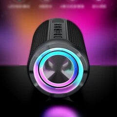 Kaasaskantav Bluetooth kõlar 30W IPX7 veekindel võimas helikast Bass Boost BT5.3 RGB kahekordne sidumine TWS ühenduvus hind ja info | Koduaudio ja "Soundbar" süsteemid | kaup24.ee