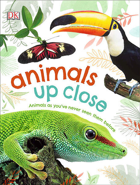 Animals Up Close цена и информация | Entsüklopeediad, teatmeteosed | kaup24.ee
