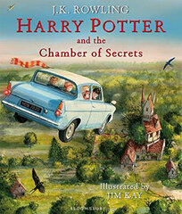 Harry Potter and the Chamber of Secrets : Illustrated Edition цена и информация | Книги для подростков и молодежи | kaup24.ee