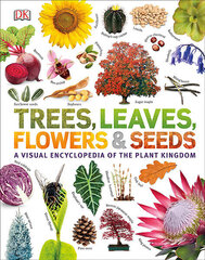 Trees, Leaves, Flowers & Seeds : A visual encyclopedia of the plant kingdom hind ja info | Romaanid | kaup24.ee