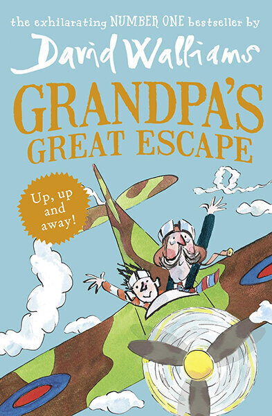 Grandpa's Great Escape цена и информация | Lasteraamatud | kaup24.ee