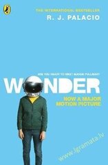 Wonder Media tie-in цена и информация | Книги для детей | kaup24.ee