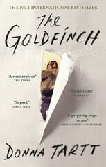 Goldfinch цена и информация | Романы | kaup24.ee