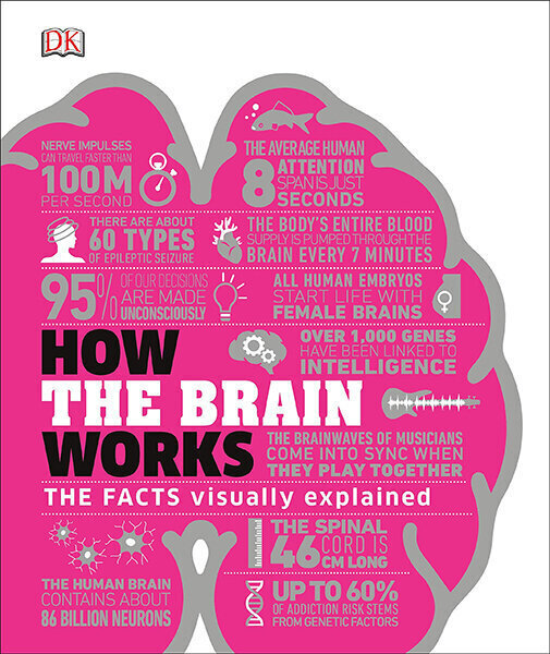 How the Brain Works : The Facts Visually Explained цена и информация | Entsüklopeediad, teatmeteosed | kaup24.ee