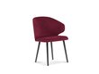 2 tooli komplekt Windsor ja Co Nemesis, punane hind ja info | Söögitoolid, baaritoolid | kaup24.ee