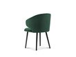 2 tooli komplekt Windsor ja Co Nemesis, roheline цена и информация | Söögitoolid, baaritoolid | kaup24.ee