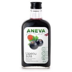 Черносмородиновый сок 100%, 200 мл, Aneva J цена и информация | Соки, нектары | kaup24.ee