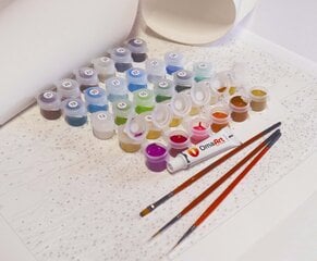 Набор для рисования по номерам Цветочный зонт, 40x50 см цена и информация | Живопись по номерам | kaup24.ee