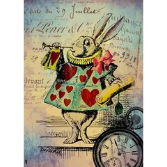 Набор для рисования по номерам, Кролик Алисы 40x50 цена и информация | Живопись по номерам | kaup24.ee