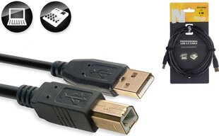 Stagg, USB-A/USB-B, 3 m цена и информация | Кабели и провода | kaup24.ee