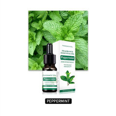 (Piparmünt) 10ml Autoparfüüm Parfüüm Natural Plant Essential Oil Aroomiteraapia Lõhn auto õhuvärskendaja õhuniisutaja õhuhajuti puhasti jaoks hind ja info | Autolõhnastajad | kaup24.ee